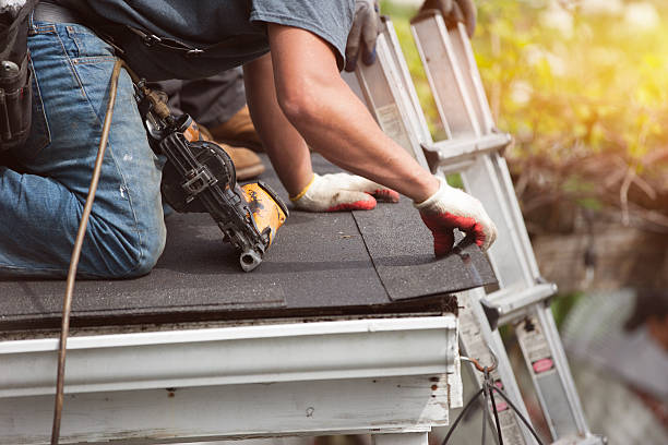 Best Local Roofing Companies  in Shingle Springs, CA