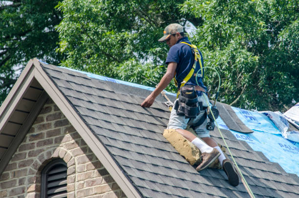 Best Emergency Roof Repair  in Shingle Springs, CA