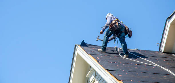 Roof Gutter Cleaning in Shingle Springs, CA